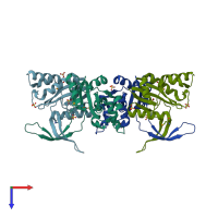 PDB entry 1y1o coloured by chain, top view.