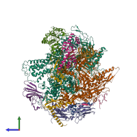 PDB entry 1y1v coloured by chain, side view.