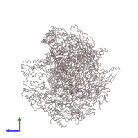 PDB entry 1y1y coloured by chain, side view.