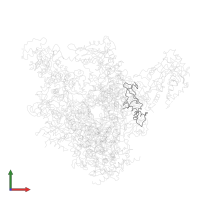 DNA-directed RNA polymerases I, II, and III subunit RPABC2 in PDB entry 1y1y, assembly 1, front view.