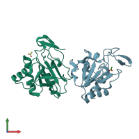 PDB entry 1y25 coloured by chain, front view.