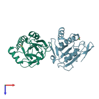 PDB entry 1y25 coloured by chain, top view.