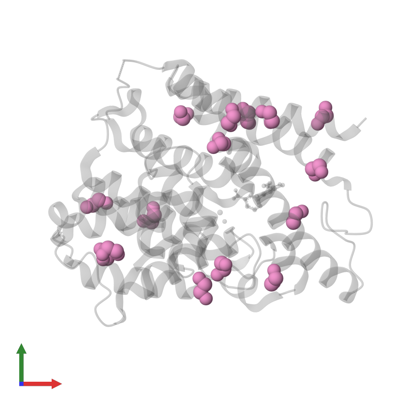 PDB 1y2k gallery ‹ Protein Data Bank in Europe (PDBe) ‹ EMBLEBI