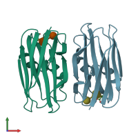 PDB entry 1y2v coloured by chain, front view.