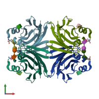 PDB entry 1y2x coloured by chain, front view.