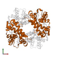 Hemoglobin subunit beta in PDB entry 1y2z, assembly 1, front view.