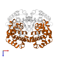 Hemoglobin subunit beta in PDB entry 1y31, assembly 1, top view.