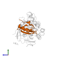 Chymotrypsin inhibitor 2 in PDB entry 1y33, assembly 1, side view.