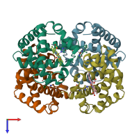 PDB entry 1y35 coloured by chain, top view.