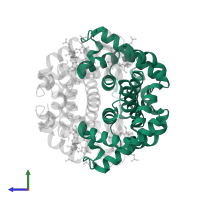 Hemoglobin subunit alpha in PDB entry 1y35, assembly 1, side view.