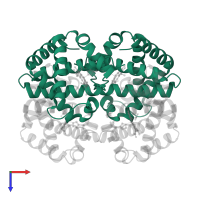 Hemoglobin subunit alpha in PDB entry 1y35, assembly 1, top view.