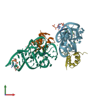 PDB entry 1y39 coloured by chain, front view.
