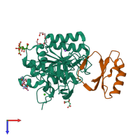 PDB entry 1y3c coloured by chain, top view.