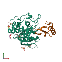 PDB entry 1y3f coloured by chain, front view.