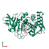 PDB entry 1y3g coloured by chain, front view.