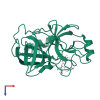 Serine protease 1 in PDB entry 1y3v, assembly 1, top view.