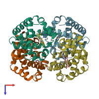 PDB entry 1y45 coloured by chain, top view.