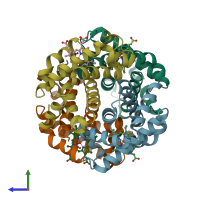 PDB entry 1y4f coloured by chain, side view.