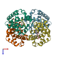 PDB entry 1y4g coloured by chain, top view.