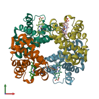 PDB entry 1y4p coloured by chain, front view.