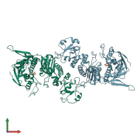 PDB entry 1y4s coloured by chain, front view.