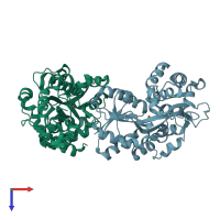 PDB entry 1y4t coloured by chain, top view.