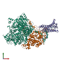 PDB entry 1y4z coloured by chain, front view.