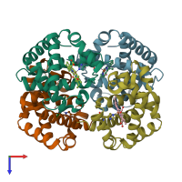 PDB entry 1y5f coloured by chain, top view.