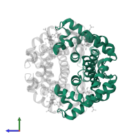 Hemoglobin subunit alpha in PDB entry 1y5k, assembly 1, side view.