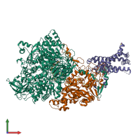 PDB entry 1y5l coloured by chain, front view.