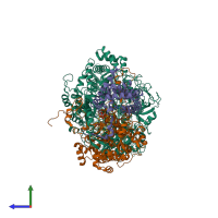 PDB entry 1y5l coloured by chain, side view.