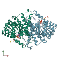 PDB entry 1y5m coloured by chain, front view.