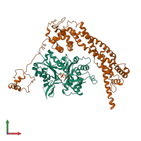 PDB entry 1y64 coloured by chain, front view.