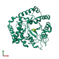 PDB entry 1y65 coloured by chain, front view.