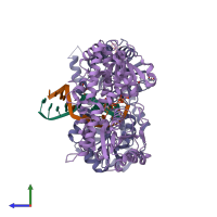 PDB entry 1y6f coloured by chain, side view.