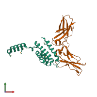 PDB entry 1y6n coloured by chain, front view.