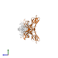 Interleukin-10 receptor subunit alpha in PDB entry 1y6n, assembly 1, side view.