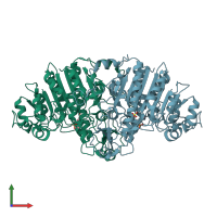 PDB entry 1y6v coloured by chain, front view.