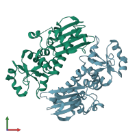 PDB entry 1y6z coloured by chain, front view.