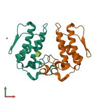 PDB entry 1y75 coloured by chain, front view.