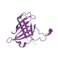 The deposited structure of PDB entry 1y77 contains 1 copy of Pfam domain PF03870 (RNA polymerase Rpb8) in DNA-directed RNA polymerases I, II, and III subunit RPABC3. Showing 1 copy in chain K [auth H].