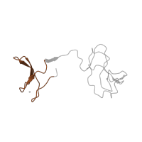 The deposited structure of PDB entry 1y77 contains 1 copy of Pfam domain PF02150 (RNA polymerases M/15 Kd subunit) in DNA-directed RNA polymerase II subunit RPB9. Showing 1 copy in chain L [auth I].