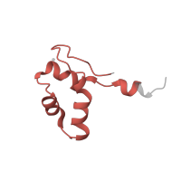 The deposited structure of PDB entry 1y77 contains 1 copy of Pfam domain PF01194 (RNA polymerases N / 8 kDa subunit) in DNA-directed RNA polymerases I, II, and III subunit RPABC5. Showing 1 copy in chain M [auth J].