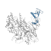 The deposited structure of PDB entry 1y77 contains 1 copy of Pfam domain PF04560 (RNA polymerase Rpb2, domain 7) in DNA-directed RNA polymerase II subunit RPB2. Showing 1 copy in chain E [auth B].
