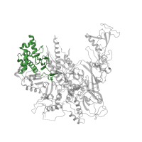 The deposited structure of PDB entry 1y77 contains 1 copy of Pfam domain PF04561 (RNA polymerase Rpb2, domain 2) in DNA-directed RNA polymerase II subunit RPB2. Showing 1 copy in chain E [auth B].
