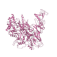 The deposited structure of PDB entry 1y77 contains 1 copy of SCOP domain 58182 (RNA polymerase) in DNA-directed RNA polymerase II subunit RPB2. Showing 1 copy in chain E [auth B].