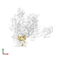 DNA-directed RNA polymerases I, II, and III subunit RPABC3 in PDB entry 1y77, assembly 1, front view.