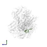 DNA-directed RNA polymerases I, II, and III subunit RPABC5 in PDB entry 1y77, assembly 1, side view.