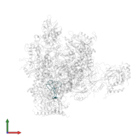 DNA-directed RNA polymerases I, II, and III subunit RPABC4 in PDB entry 1y77, assembly 1, front view.