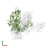 DNA-directed RNA polymerase II subunit RPB2 in PDB entry 1y77, assembly 1, front view.